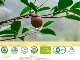 에코 카트가있는 유기농 농장 (EU, USDA, JAS, China 등)